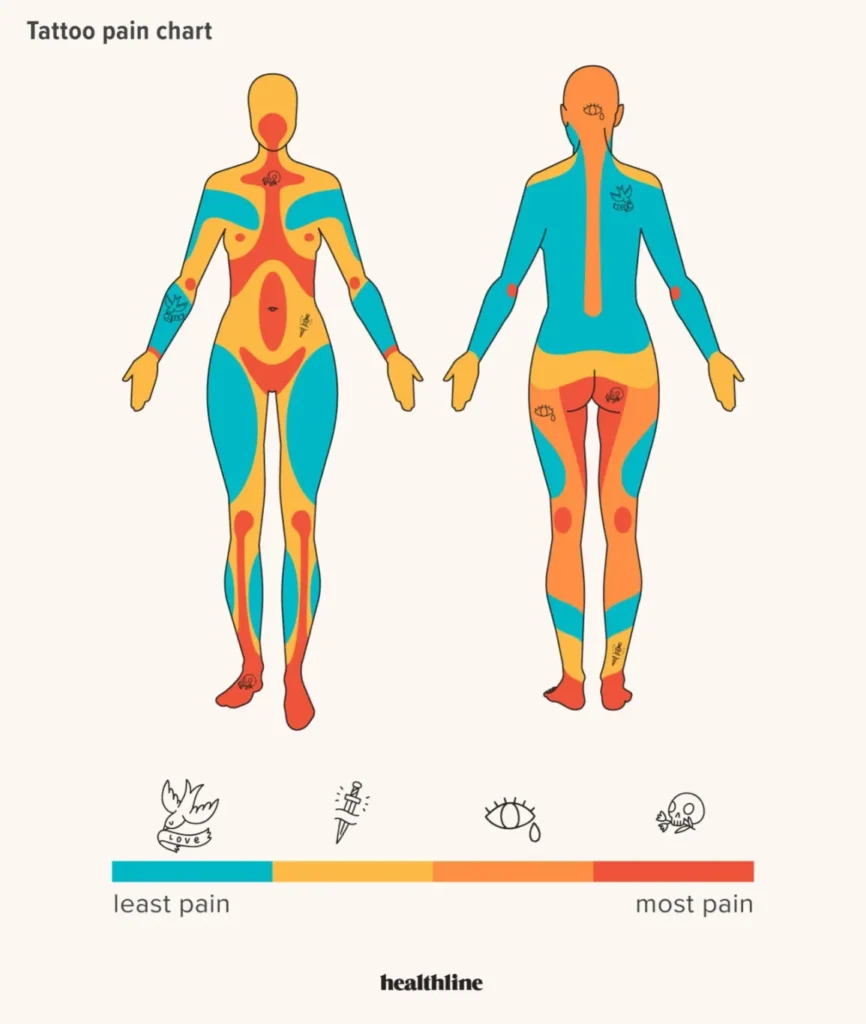 Tattoo Pain Chart: Where It Hurts Most (and Least)